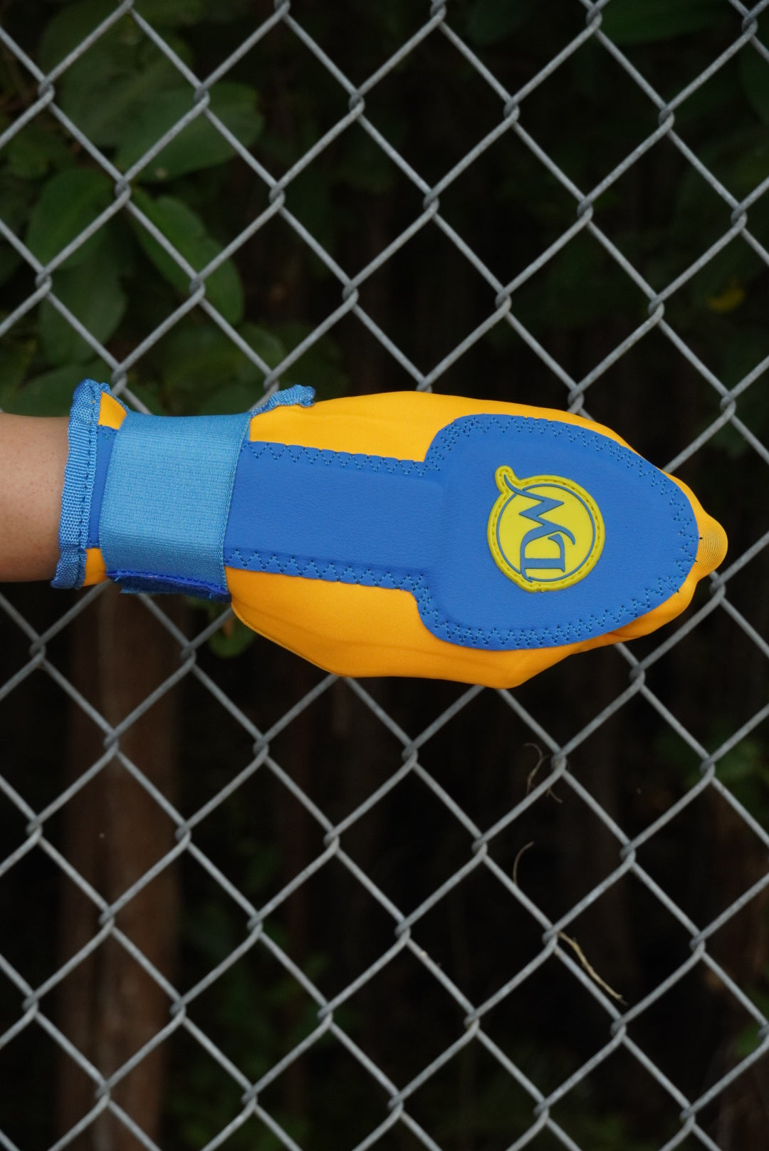 Baby Blue/Yellow