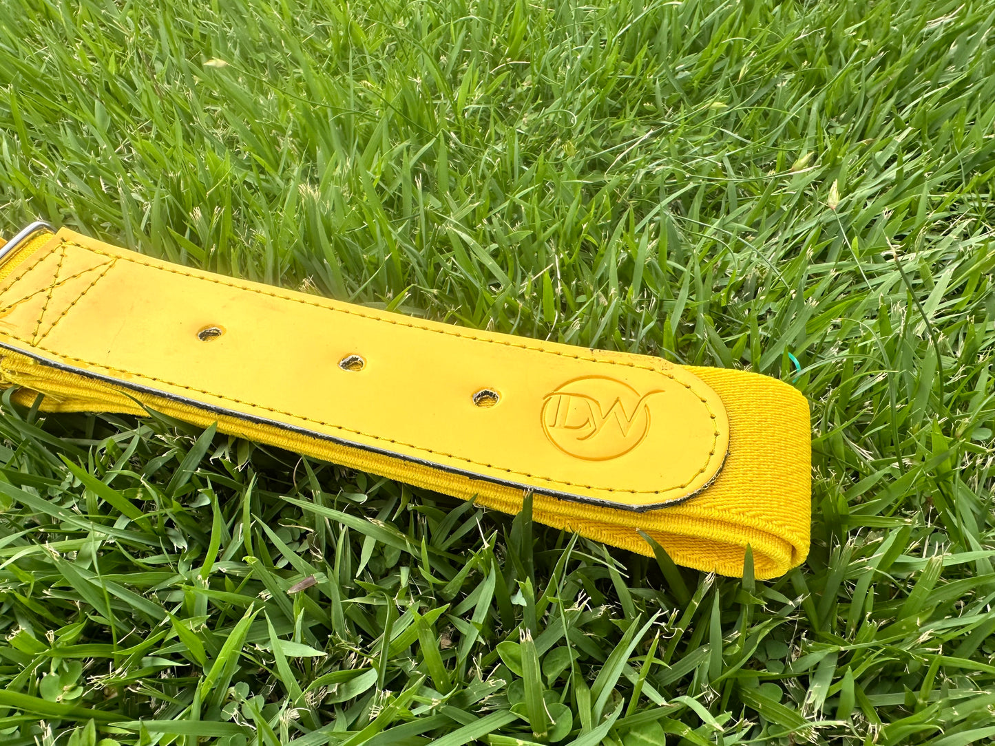 Amarilla