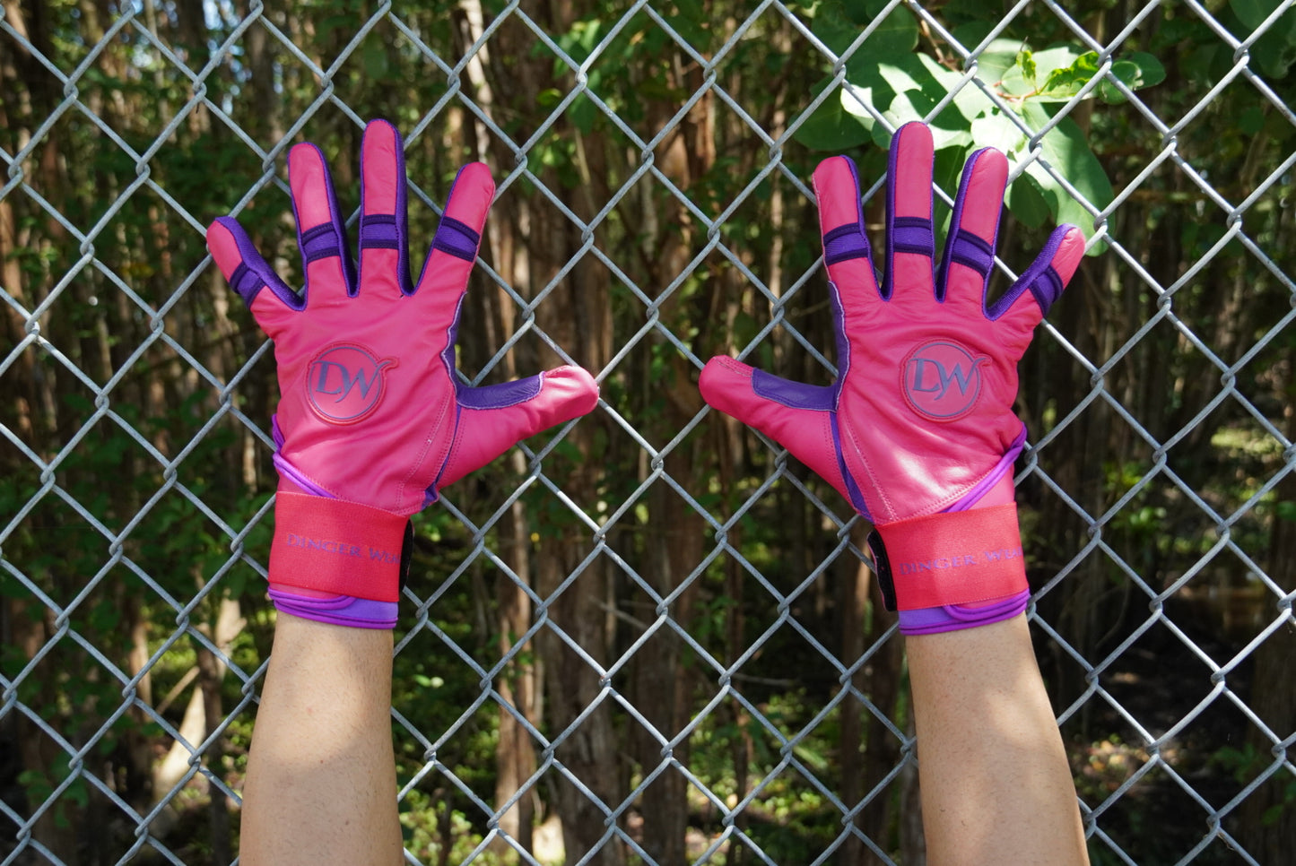 PINK/PURPLE Batting Glove