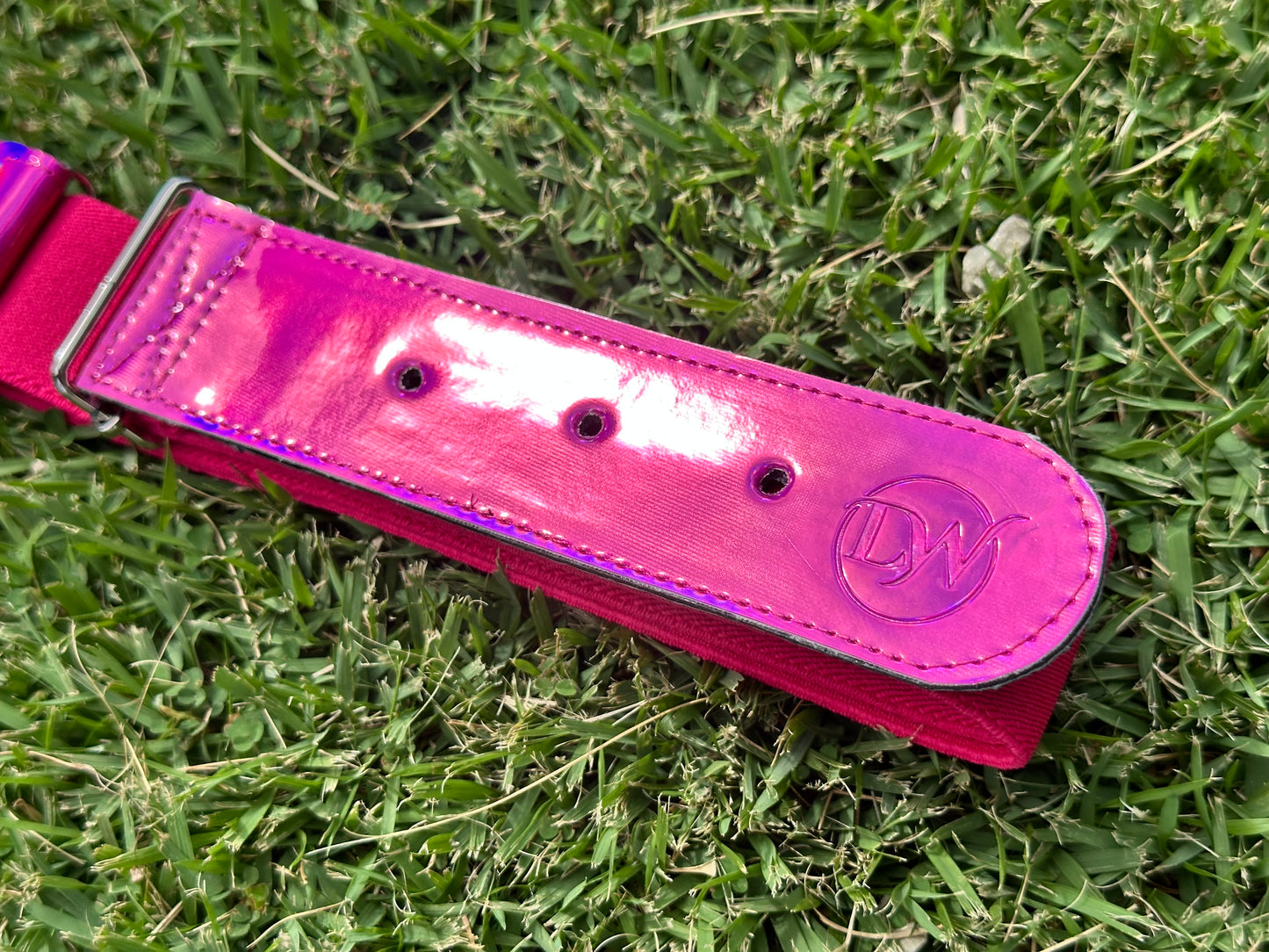 Fushia