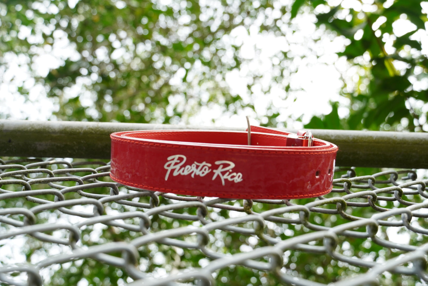 Rojo