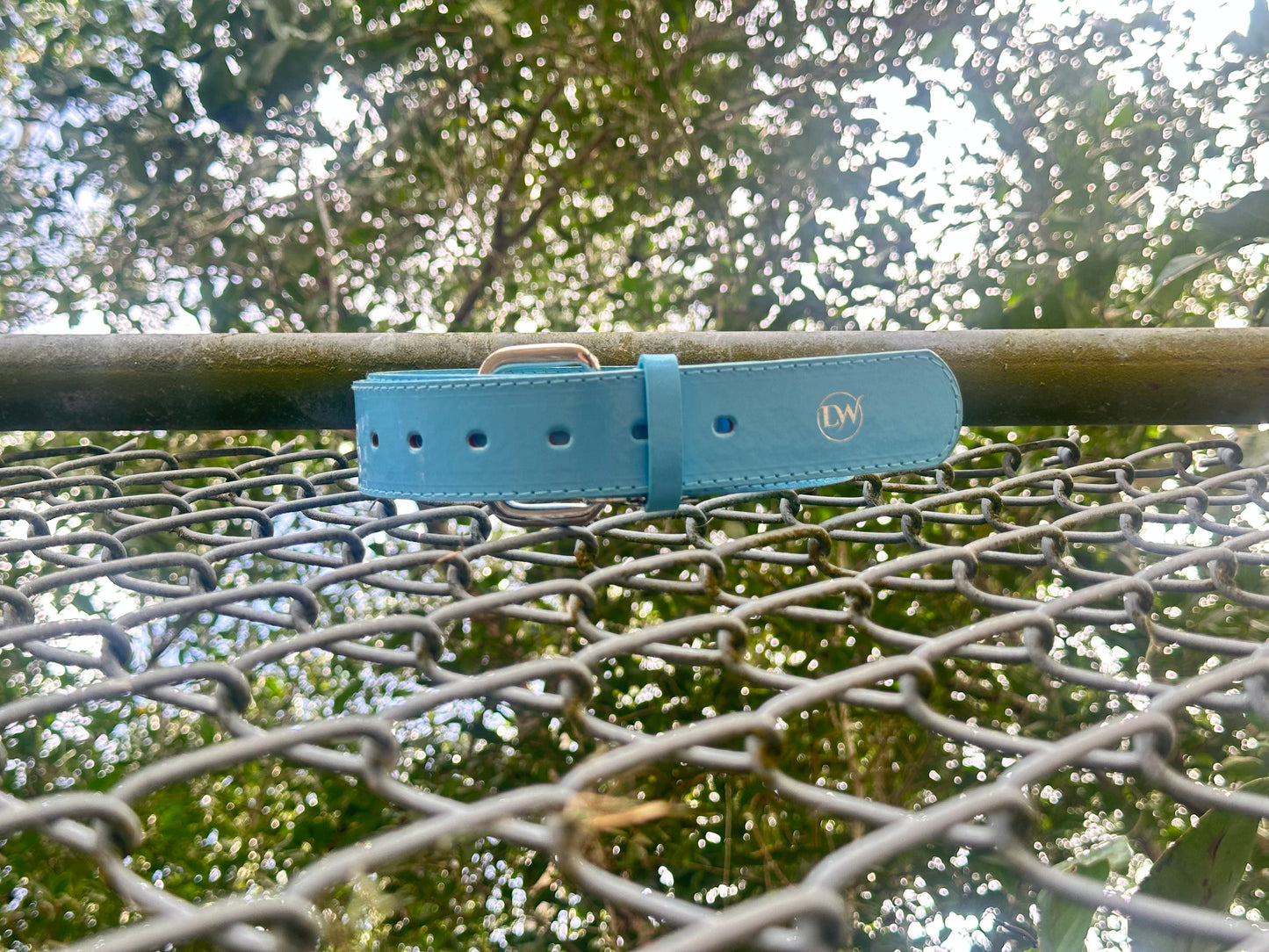 Baby Blue