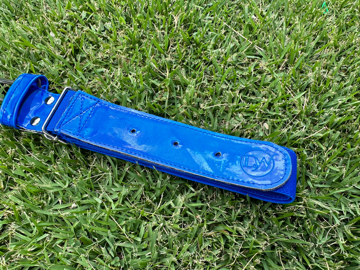 Correa Elástica Azul Royal